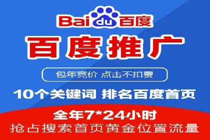 百度竞价代理操作手册：成功案例分析